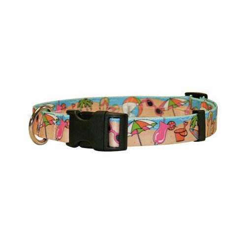 Hipster dog hot sale collar