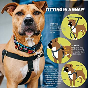 2 Hounds Design No Pull Freedom Harness with Leash The Hipster Hound