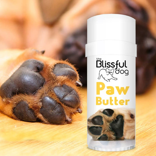 The Blissful Dog PAW BUTTER All Natural Good Stuff for Dry Paw Pads